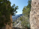 photo thumbnail #9