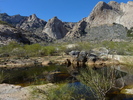 photo thumbnail #10