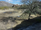 photo thumbnail #12