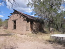 recent photo