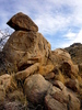 photo thumbnail #2
