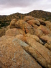 photo thumbnail #5
