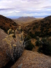 photo thumbnail #6