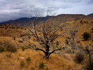 photo thumbnail #11