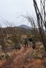 photo thumbnail #2