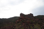 photo thumbnail #4