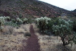 photo thumbnail #5