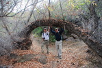 photo thumbnail #6