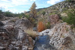 photo thumbnail #15