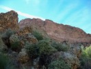 photo thumbnail #6