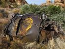 photo thumbnail #11