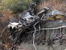 photo thumbnail #12