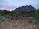 photo thumbnail #3
