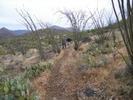photo thumbnail #4