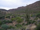 photo thumbnail #14