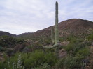 photo thumbnail #15