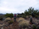 photo thumbnail #2