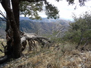 photo thumbnail #13