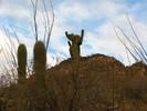 photo thumbnail #1