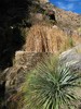 photo thumbnail #15
