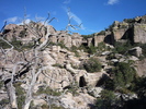 photo thumbnail #4