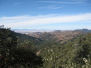 photo thumbnail #8