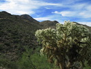 photo thumbnail #1