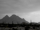 photo thumbnail #2