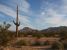 photo thumbnail #3