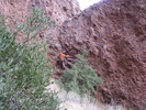 photo thumbnail #2