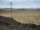 photo thumbnail #9