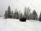 photo thumbnail #4