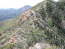 photo thumbnail #11