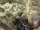 photo thumbnail #5