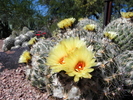 photo thumbnail #9