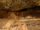 photo of comment