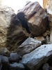 photo thumbnail #10