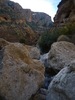 photo thumbnail #15