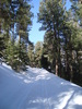 photo thumbnail #3