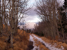 photo thumbnail #5