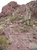 photo thumbnail #8