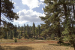 photo thumbnail #11