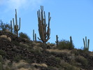 photo thumbnail #4