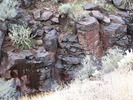 photo thumbnail #9