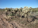 photo thumbnail #9