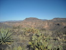 photo thumbnail #4