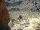 photo thumbnail #5