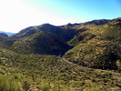 photo thumbnail #5