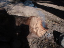 photo thumbnail #12