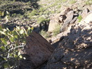 photo thumbnail #8